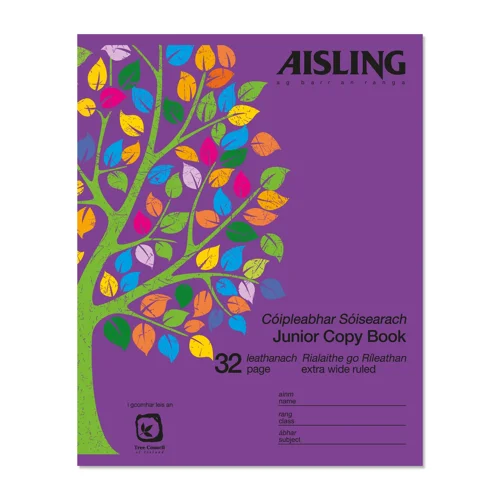 Aisling Junior 15mm Writing Copy Pk10