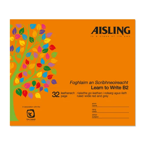 Aisling Learn To Write B2 32Pg Pk10