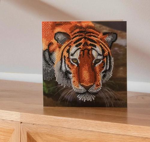Crystal Art Tiger 18 x 18cm Card CCK-A40  10215CB