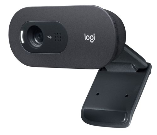 Logitech C505 30 fps 1280 x 720 HD Pixels Resolution USB Webcam