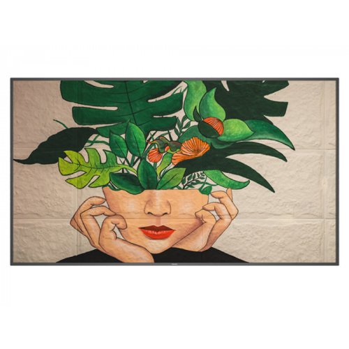 Philips D Line 75BDL4511D 75 Inch 3840 x 2160 Pixels 4K Ultra HD Resolution 8ms Response Time HDMI USB DisplayPort LED Display