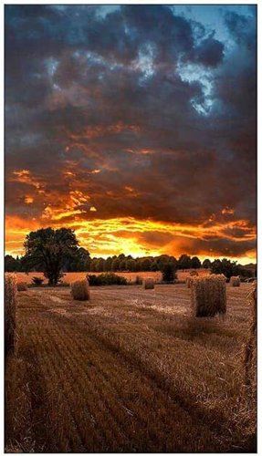 Samsung VM55BU 55 Inch 1920 x 1080 Pixels Full HD Resolution 8ms Response Time HDMI DP DVI USB Videowall