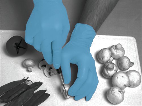 Shield Powder Free Nitrile Micro Textured Disposable Gloves Medium Blue (Pack of 100) GD21 Medium | HEA00593 | Polyco Healthline