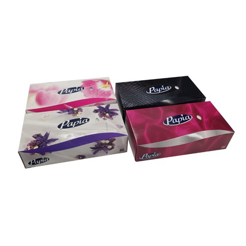 Papia 2 Ply Luxury Facial Tissues 100 Sheets 08FACE1