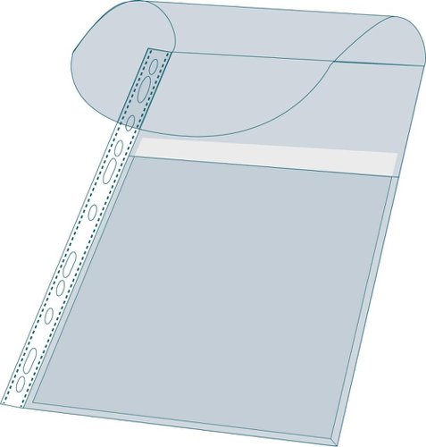 21930EX - Exacompta Expanding Punched Pockets With Flap A4 Clear (Pack 10) - 5503E