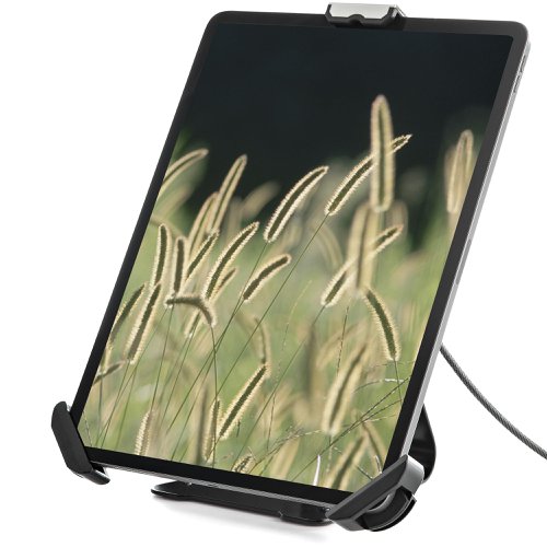 StarTech.com 7.9 to 13 Inch Secure Tablet Stand with K-Slot Cable Lock  8ST10344444