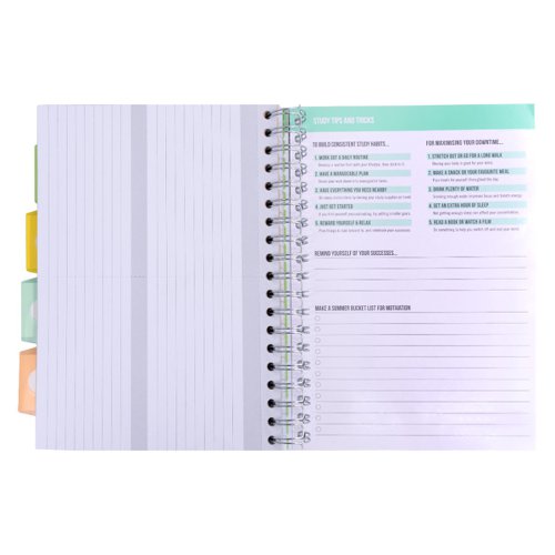 Pukka Pads Study Book B5 181 x 257mm 4 Coloured Dividers 3 Paper Types Includes Revision Cards Grey (Pack1) - 9824-STU 26886PK