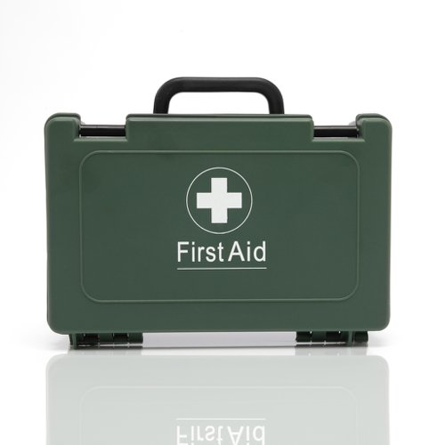 Blue Dot BS 8599-1 (2019) Travel Kit In Green Box - T6