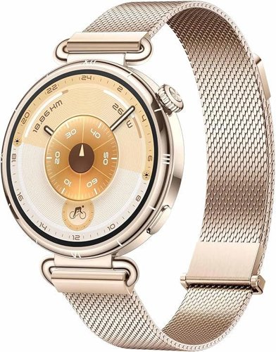 Huawei Watch GT6 1.32 Inch Touchscreen 41mm Smartwatch - Gold Milanese