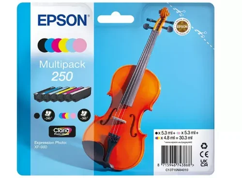 Epson Multipack 250 HD Ink C13T16N84010