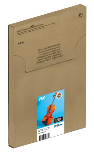 Epson Multipk 250 Easymail Ink C13T16N84510