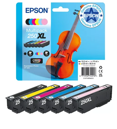 Epson Multipk 6 Clr 250XL Ink C13T16P84010