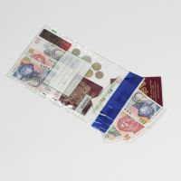 PostSafe Tamper Evident Env C4 220x305mm Clear PK20