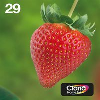 Epson 29 Stawberry Black Cyan Magenta Yellow Standard Capacity Ink Cartridge Multipack 5.3ml + 3 x 3.2ml (Pack 4) - C13T29864511
