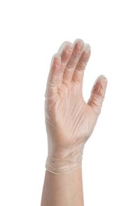 Value Clear Vinyl Glove Powder Free Large (Pack 100)