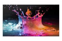 Samsung UDE B Series UD46E A 55 inch Full HD Display