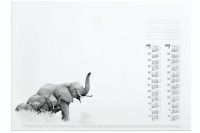 Durable Desk Mat African Wildlife