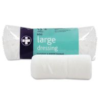 Value Large Dressing Bandage & Pad (PK10)