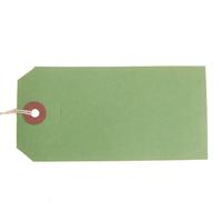 ValueX Reinforced Coloured Strung Tag 120x60mm Green (Pack 1000) T257803