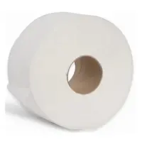 2 Ply Mini Jumbo Toilet Roll 120m 60mm Core Recycled