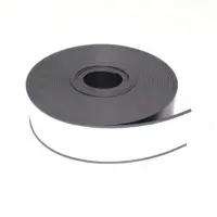 Beaverswood Magnetic Label Holder With White Card Inserts 60mmx10m (Roll) - MLR6/10