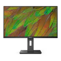 Philips 3000 Series 32 Inch 3840 x 2160 Pixels 4K Ultra HD VA Panel HDMI DisplayPort Business Monitor