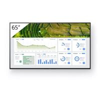 Sony FW-65BZ30L 65 Inch 3840 x 2160 Pixels 4K Ultra HD IPS Panel HDMI USB Pro Bravia Display