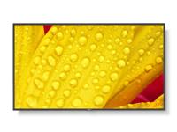 NEC MultiSync M501-2 50 Inch 3840 x 2160 Pixels 4K Ultra HD VA Panel HDMI DisplayPort USB Large Format Display