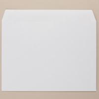 River Series Wallet C5 162 x 229mm White Selfseal 90gsm Box of 500 100% PEFC Certified