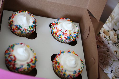 Southern 4 Count Cup Cake Insert 7-7/8x7-7/8x7/8 Pack 200