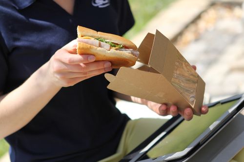 Southern Sandwich Wedge Auto Window Pack 300