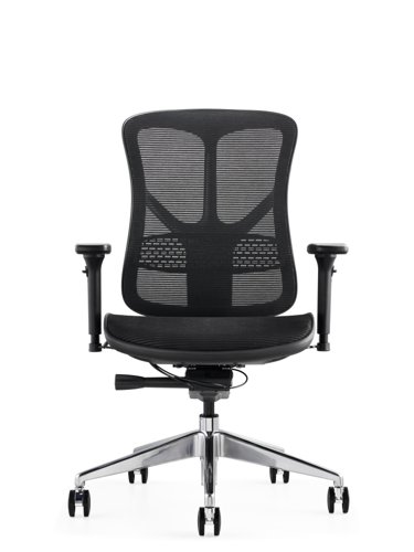 F94 101 Series Ergonomic Synchronised Mechanism Black Mesh Back & Seat Chair with 3D Adjustable Arms