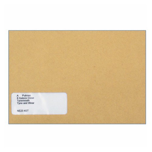 Custom Forms Sage Name/Address Wage Envelope Pack 1000