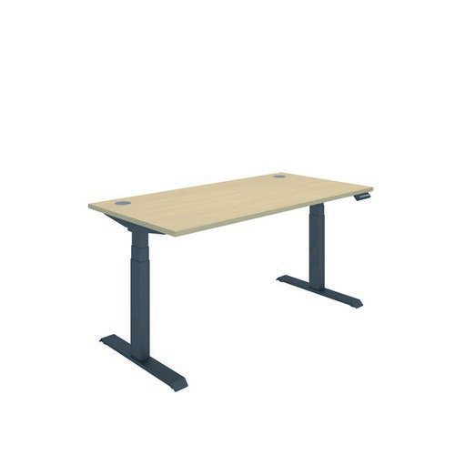 Polaris Dual Motor Sit Stand Desk 1600X800 Oak/Black