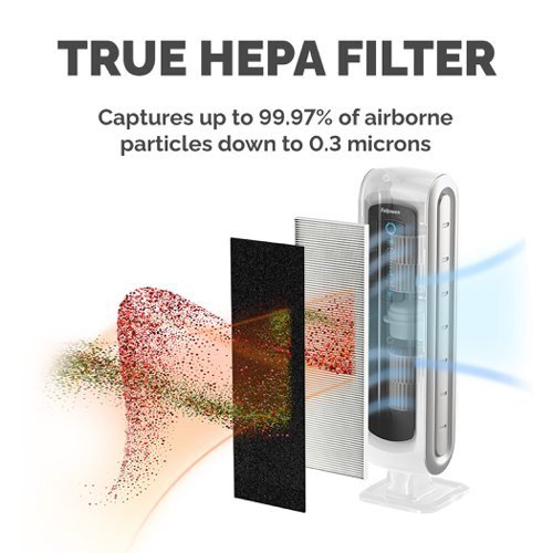 Fellowes Aeramax DX5/DB5 True Hepa Filter Small