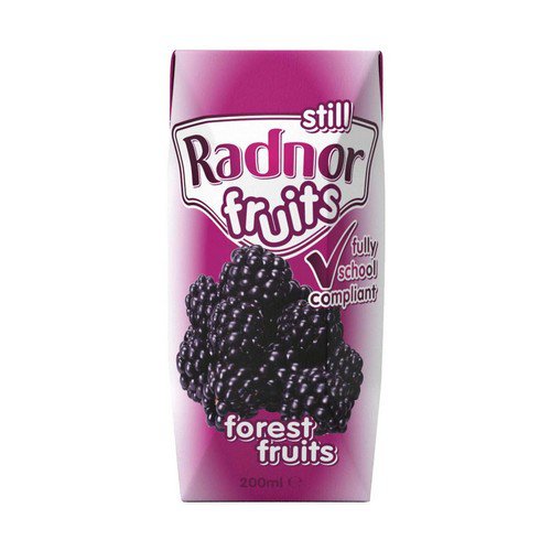 Radnor Fruits Still  Tetra  Forest Fruits - 24x200ml Cold Drinks JA8909
