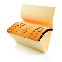 Initiative Multipurpose Expanding File A-Z and 1-31 Foolscap