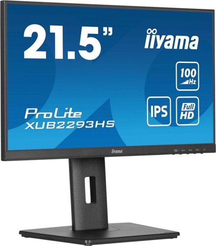 iiyama 21.5 Inch Monitor