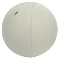 Leitz Ergo Active Sitting Ball 55cm Light Grey