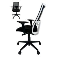 ATLAS Style Ergonomic Office Chair