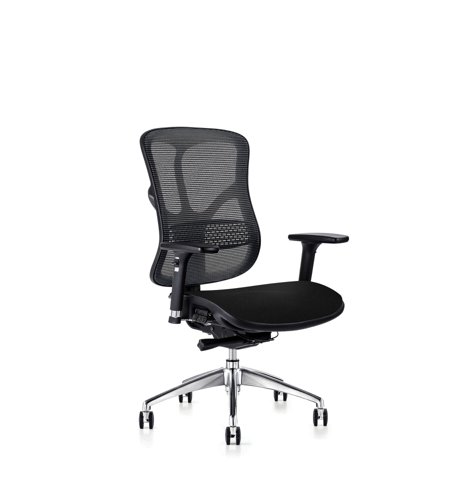 F94 - 101 Series Mesh Bck Ergonomic Chair with Fabric Seat - Black (F94-101-F)