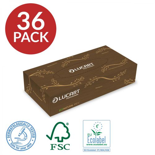 EcoNatural Facial Tissues 2-Ply Box of 100 Tissues 210x200mm [Pack 36]