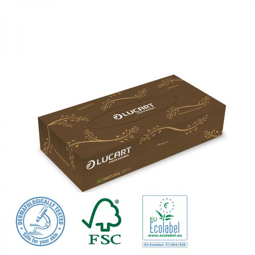 EcoNatural Facial Tissue 2-Ply Box of 100 Tissues 210x200mm - SINGLE Box