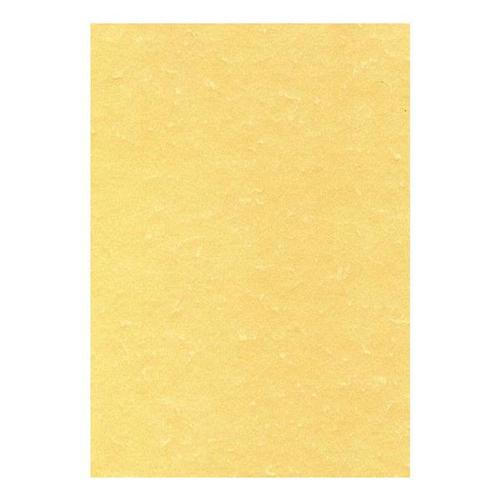 Decadry Letterhead Presentation Paper Poster Quality 165gsm A4 Champagne PCL1677 [50 Sheets]