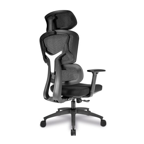 Trinity Ergonomic High Back Mesh Chair with Multi Adjustable Headrest, Lumbar Support and Height Adjustable Arms - Black