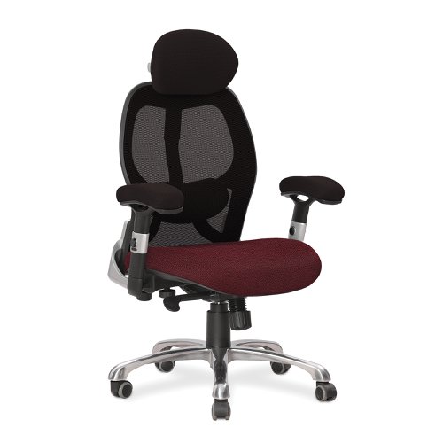 Ergo Ergonomic Luxury High Back Executive Mesh Chair with Chrome Base Certified for 24 Hour Use - Black Back/Phoenix Guyana Seat