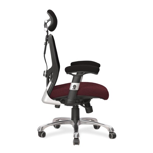 Ergo Ergonomic Luxury High Back Executive Mesh Chair with Chrome Base Certified for 24 Hour Use - Guyana/Black