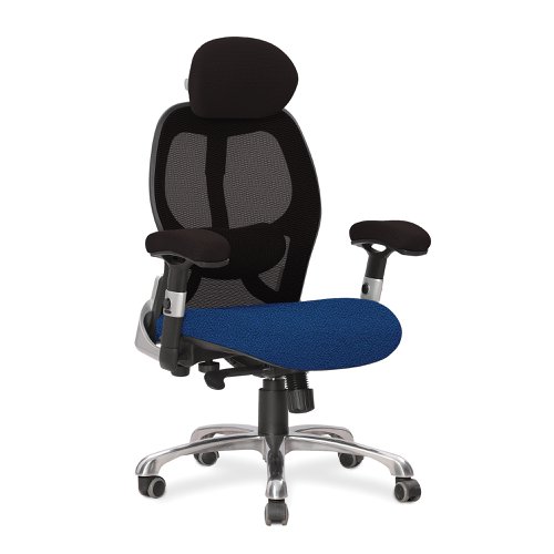 Ergo Ergonomic Luxury High Back Executive Mesh Chair with Chrome Base Certified for 24 Hour Use - Black Back/Phoenix Scuba Seat