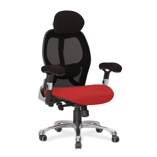 Ergo Ergonomic Luxury High Back Executive Mesh Chair with Chrome Base Certified for 24 Hour Use - Black Back/Phoenix Belize Seat