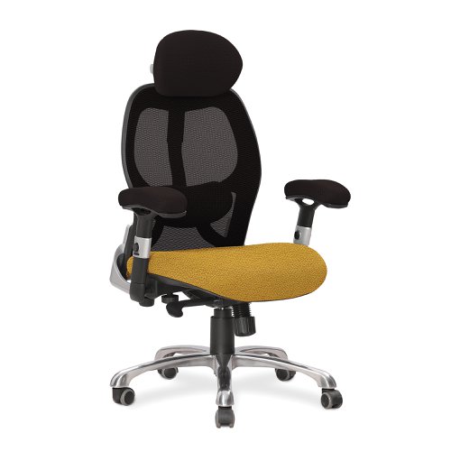 Ergo Ergonomic Luxury High Back Executive Mesh Chair with Chrome Base Certified for 24 Hour Use - Black Back/Phoenix Solano Seat